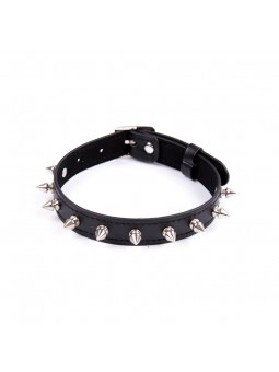 Collar with Spikes...