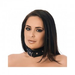 Leather Collar  with Studs...